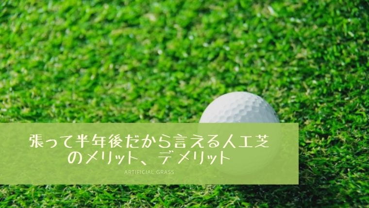 張って半年後だから言える人工芝のメリット デメリット 一家danラン